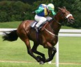 /album/quarter-horse/quarter-horse-racing-jpg/
